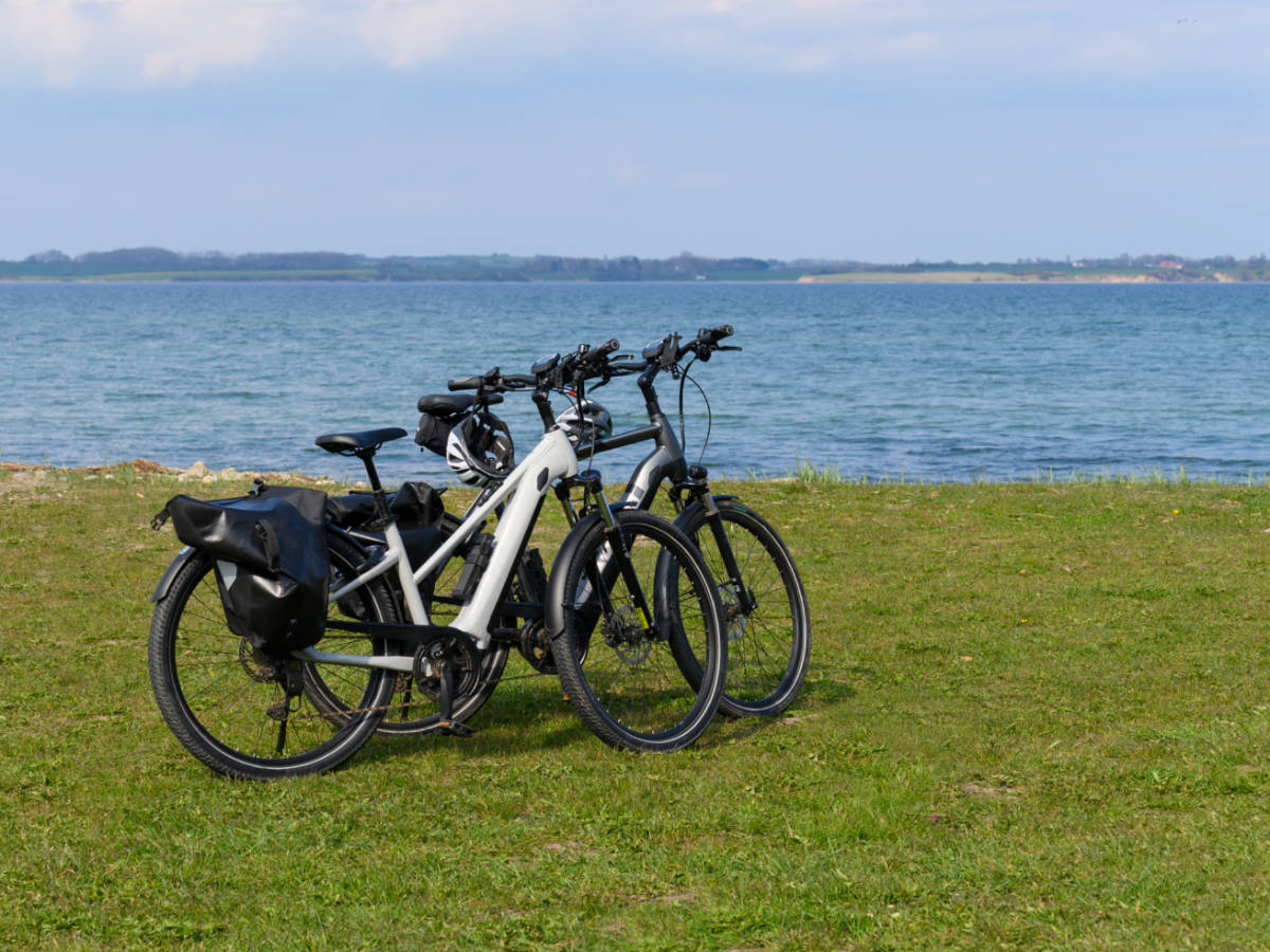 View of the electric bicycles near the water