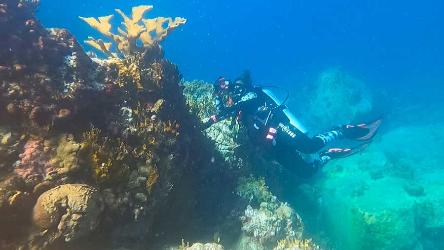 View of a scuba diver and coral reefs under the water of St. John