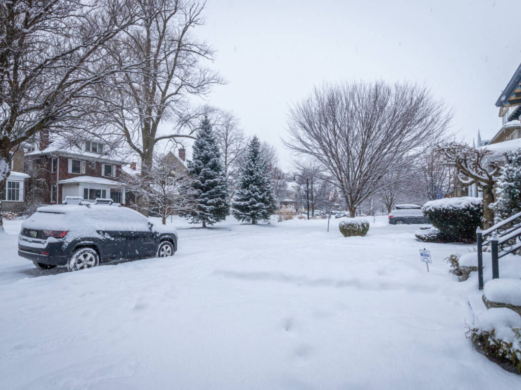 A street in Elmwood Village covered with snow during winter season