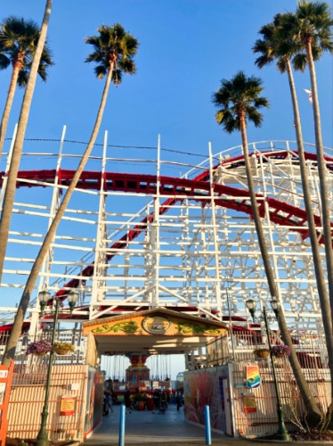 View of the tall palm tree-lined at the entrance of the boardwalk amusement park