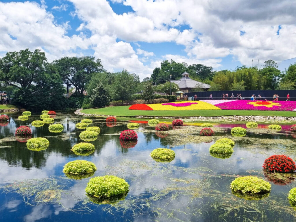 Panoramic view of the blooming flowers around and on the water at EPCOT