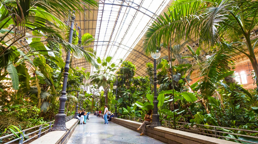 View of people hanging around the tropical greenhouse inside a train station