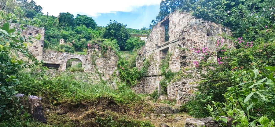View of the ruins of Estate Mount Washington in St. Croix