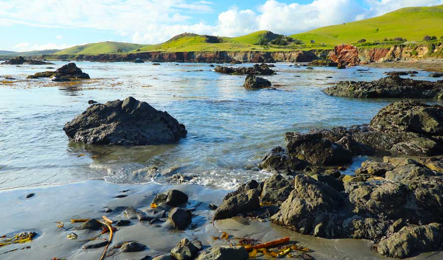 Scenic view from the Estero Bluffs State Park