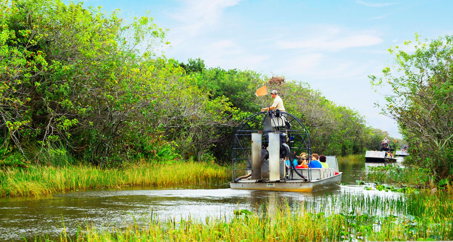 View of tourists riding an airboat in Everglades