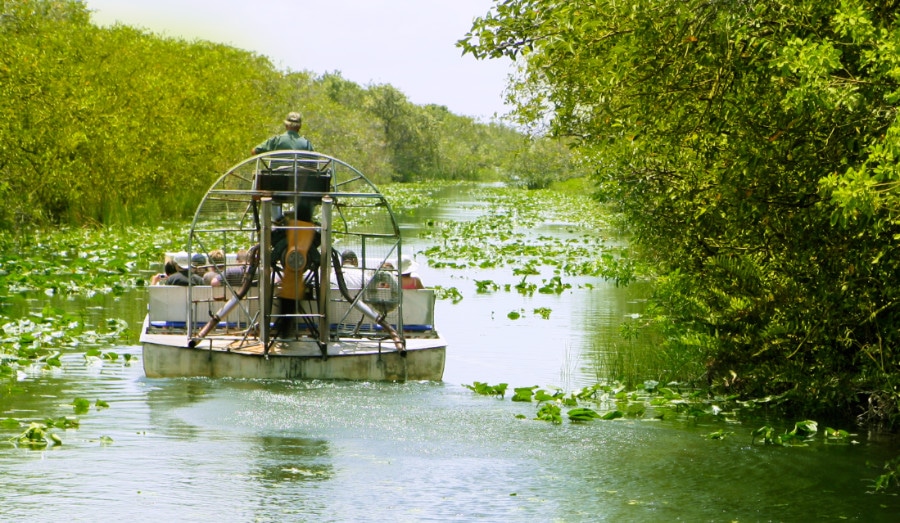 An air boat in Big Cypress National Park
