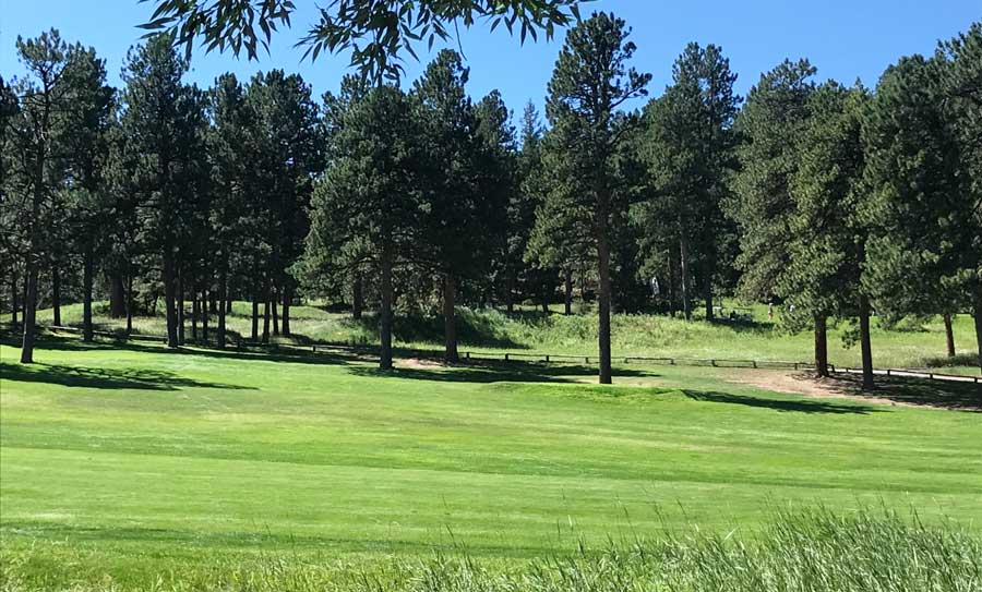 Clear blue sky over the Evergreen Golf Course