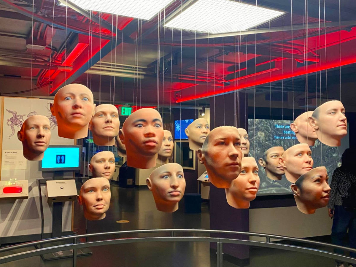 Exhibit of heads suspended from ceiling at Exploratorium, San Francisco, California