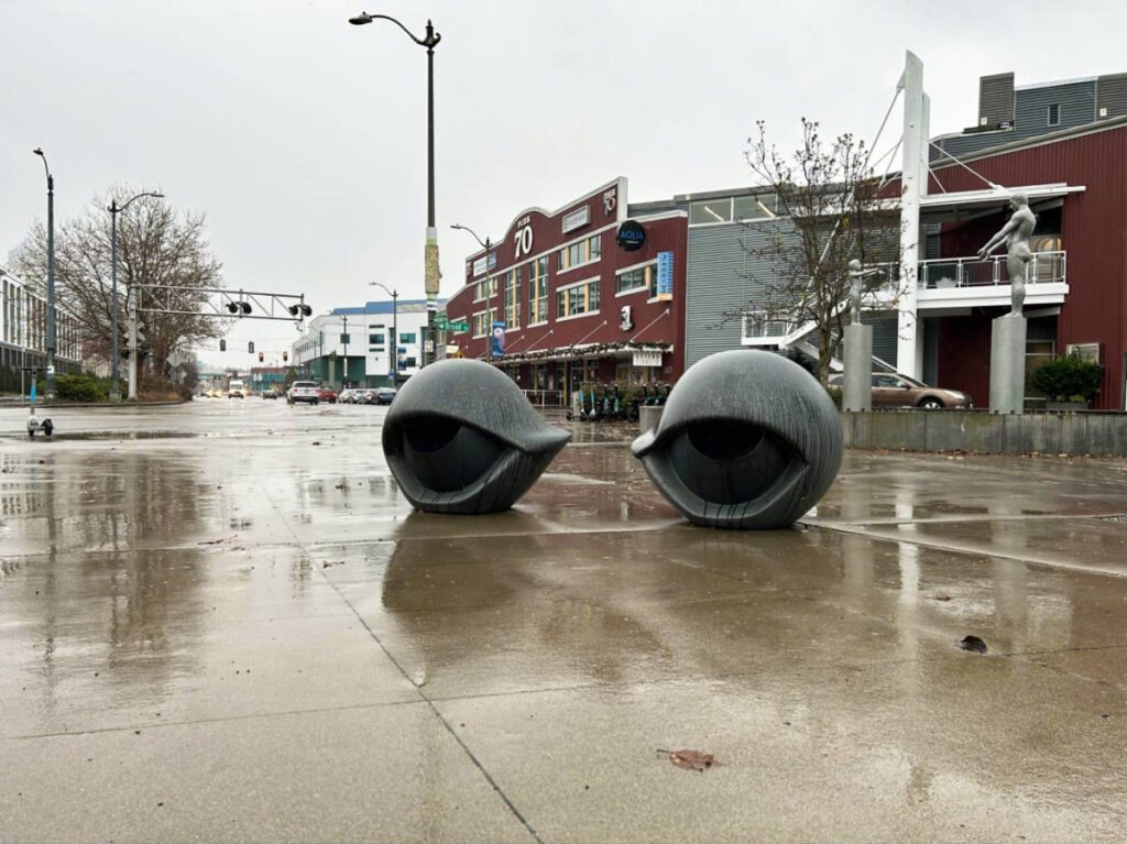Two eye sculptures outside the Olympic Sculpture Park on a rainy day