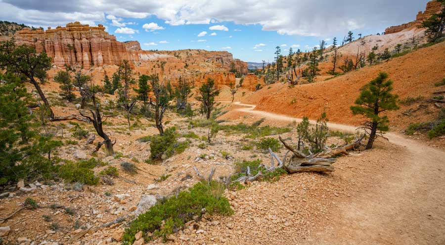 View during a hike in Fairyland Loop Trail