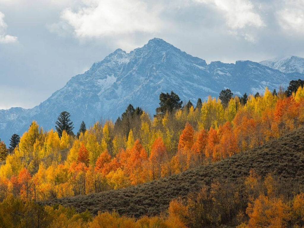 View of the fall foliage and the mountain ranges in the background