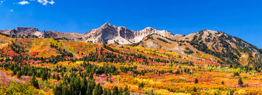 Panoramic view of the fall foliage in the Snow Basin landscape