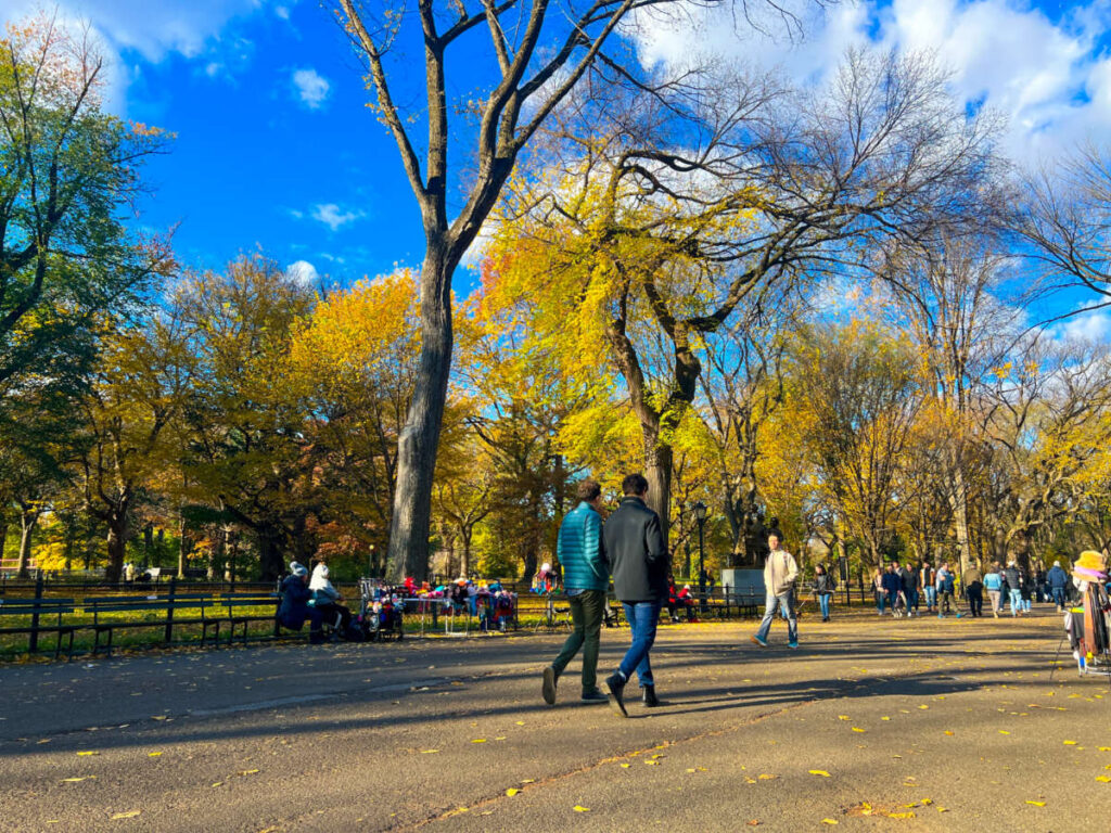 People walking along Central Park surrounded by colorful trees during Fall