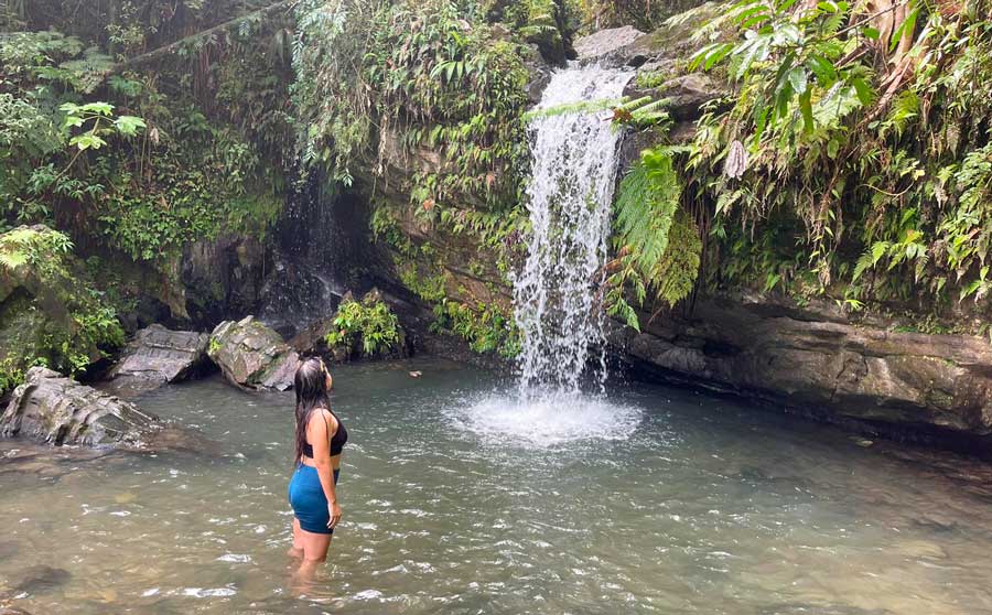 The author admiring a waterfalls in El Yunque National Forest