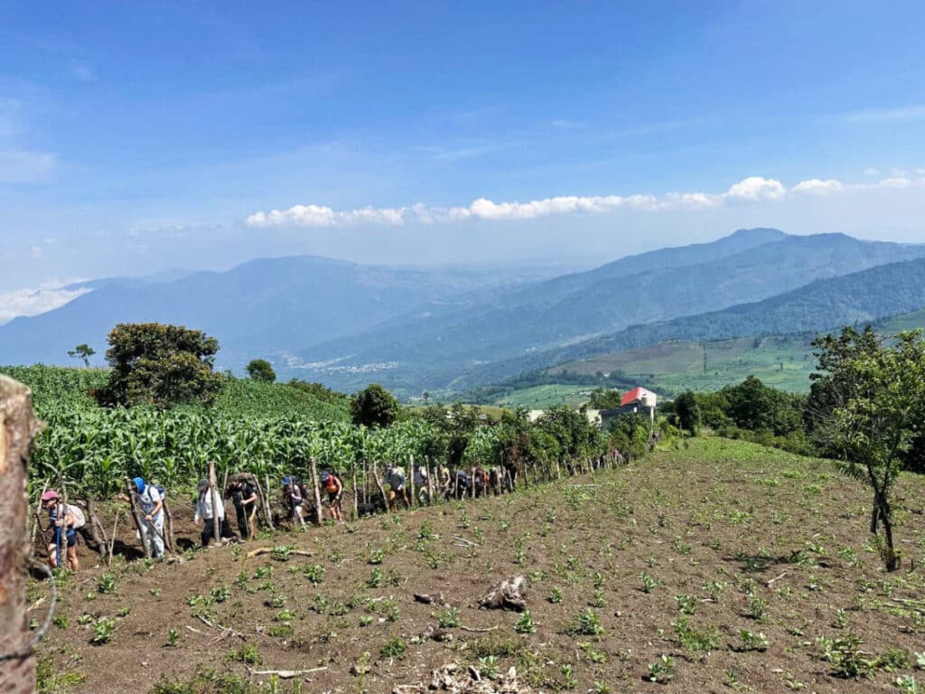Hikers passing by a farmland on a sunny day