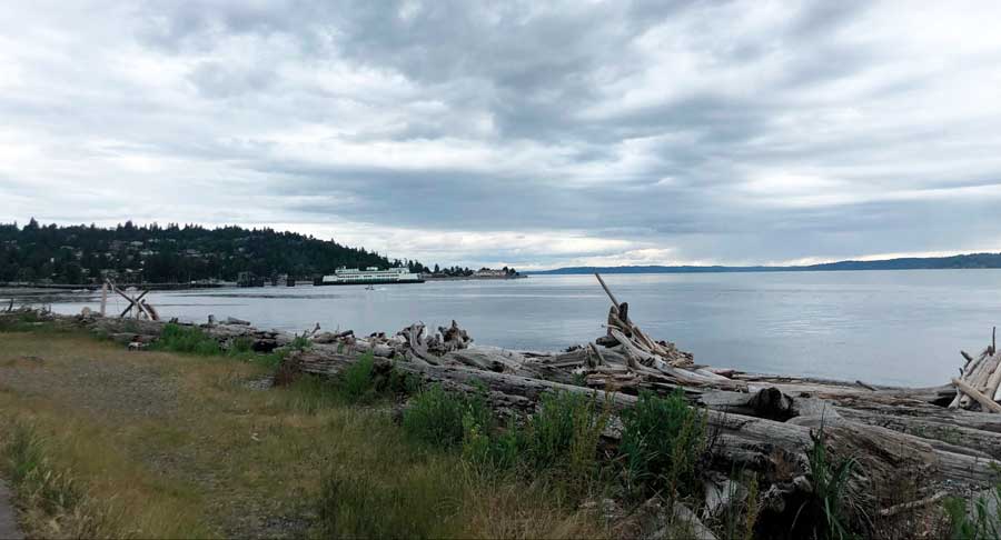 A ferry from afar departing to Fauntleroy terminal