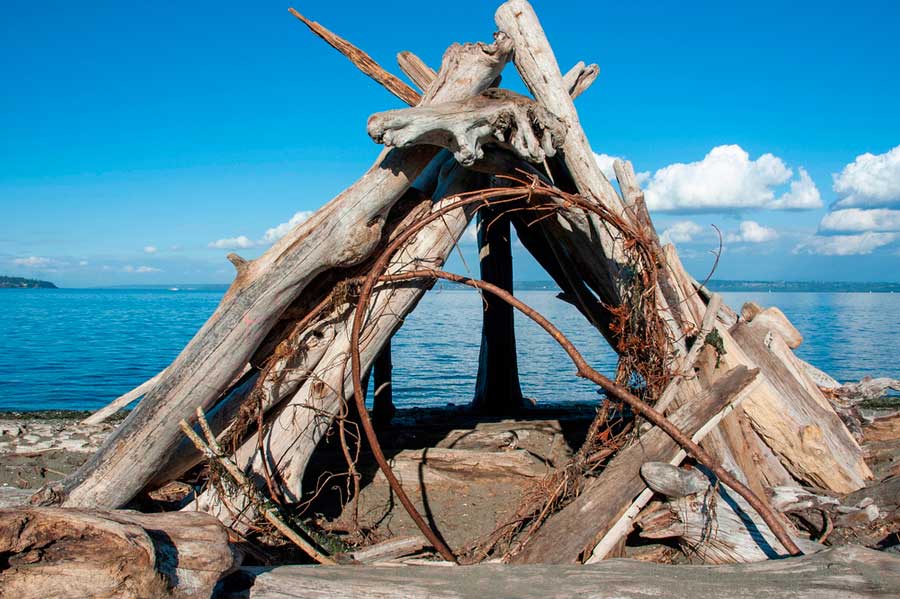 A driftwood structure under the clear blue sky in Fay Bainbridge Park
