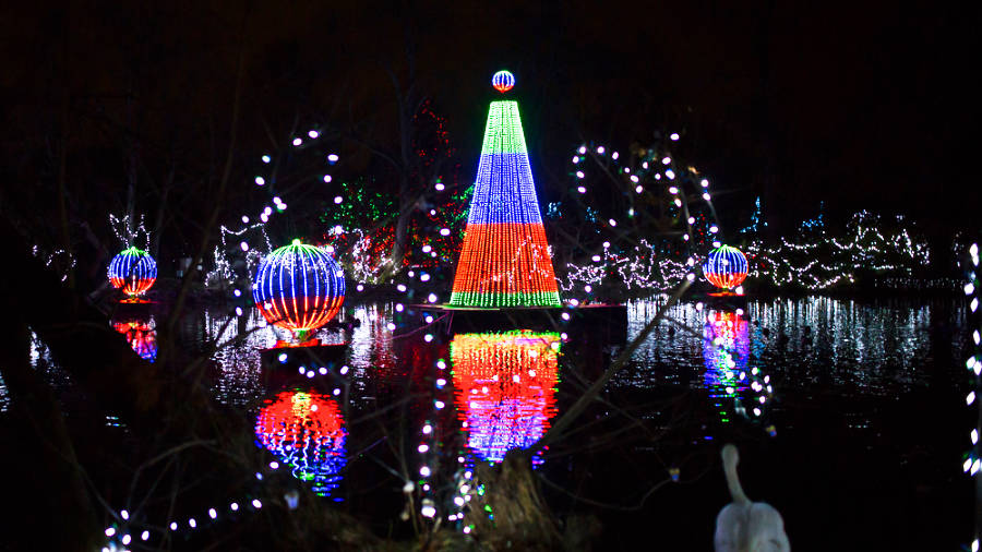 View of the vibrant and colorful Christmas lights during the Festival of Lights