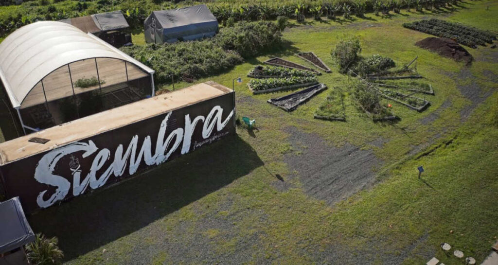 Aerial view of the landscape of Finca Neo Jibairo