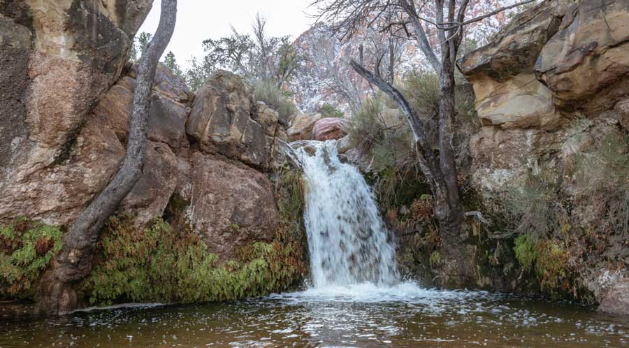 View of a waterfall in First Creek Canyon