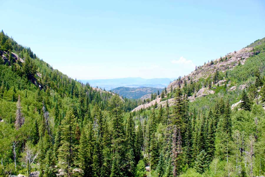 The view from Fish Creek Falls in Steamboat Springs