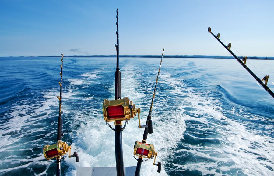 View of fishing rods attached to a boat