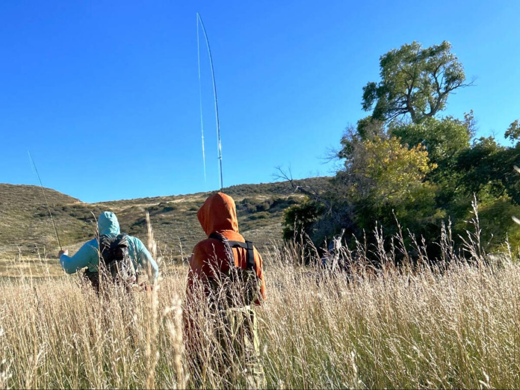 Clear blue sky during a backpacking trip