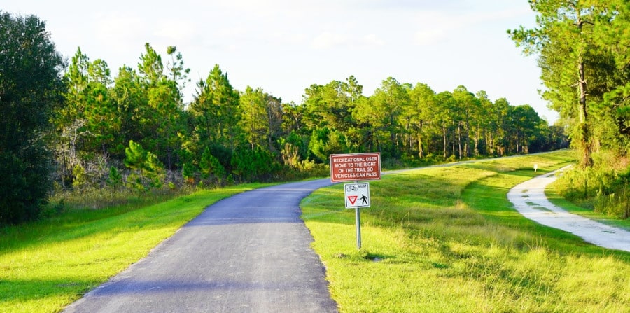A walking trail surrounded with greenery in Flatwoods Park in New Tampa
