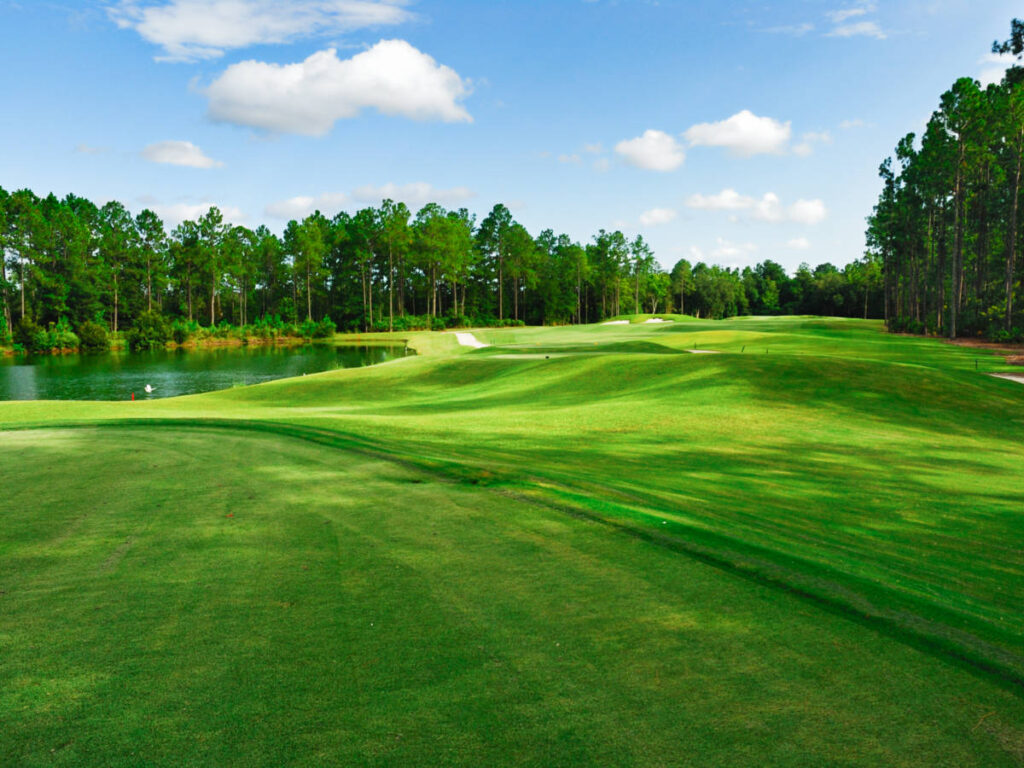 View of the lush greenery around the Fleming Island Golf Club