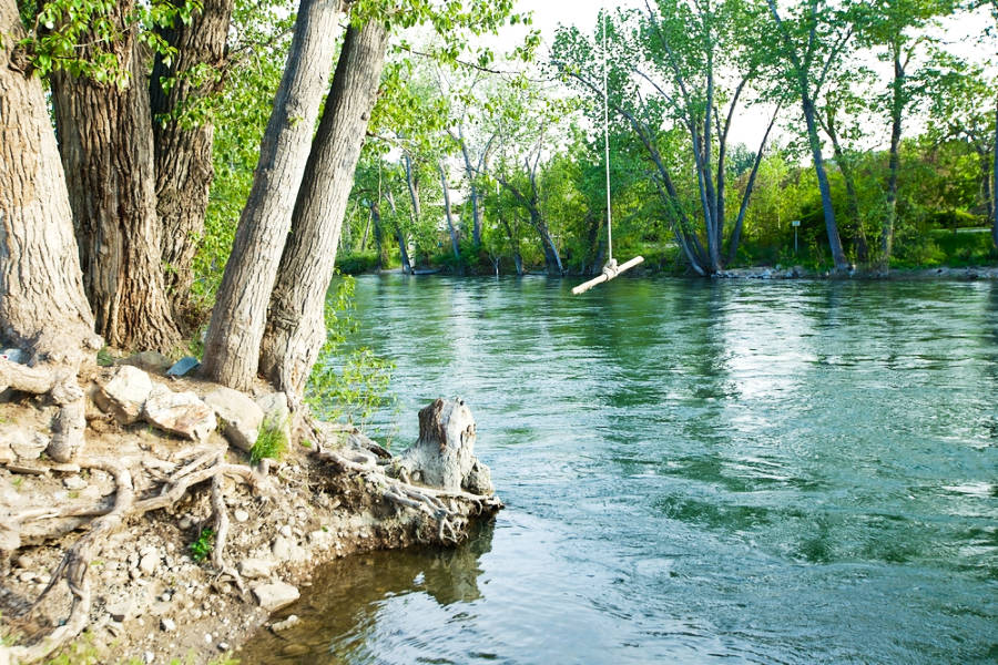 A rope swing near the calm water of Boise River