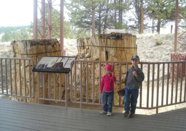 View of author's children at an exhibition at Florissant Fossil Beds National Monument