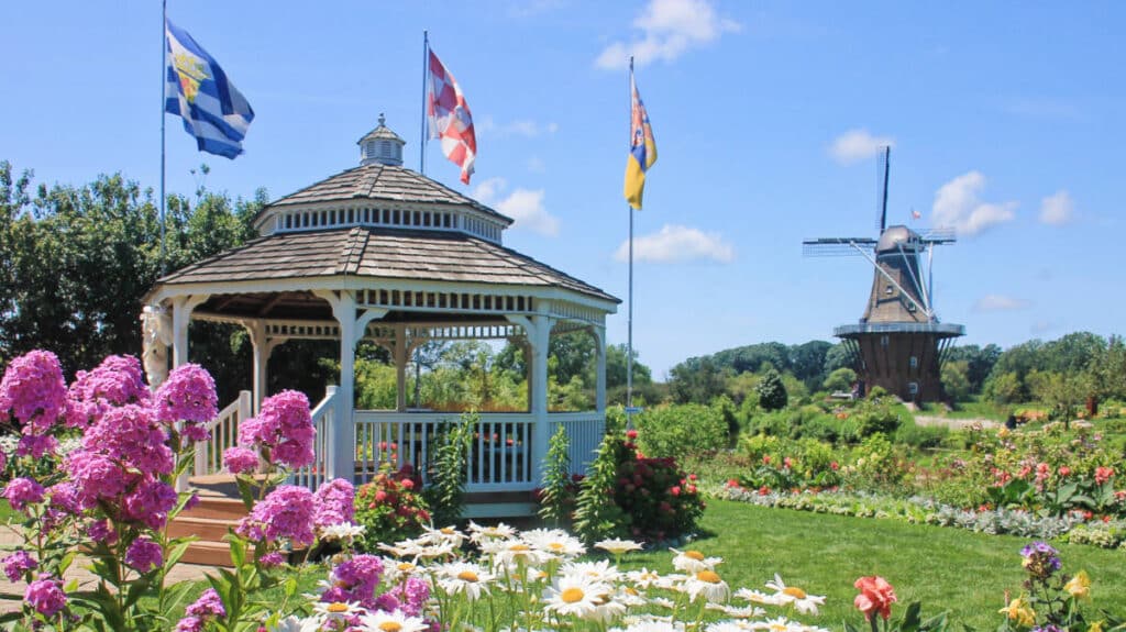 Colorful flowers and a windmill in Holland, Michigan