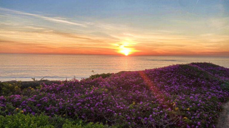 View of the sunset over a meadow at San Clemente Beach