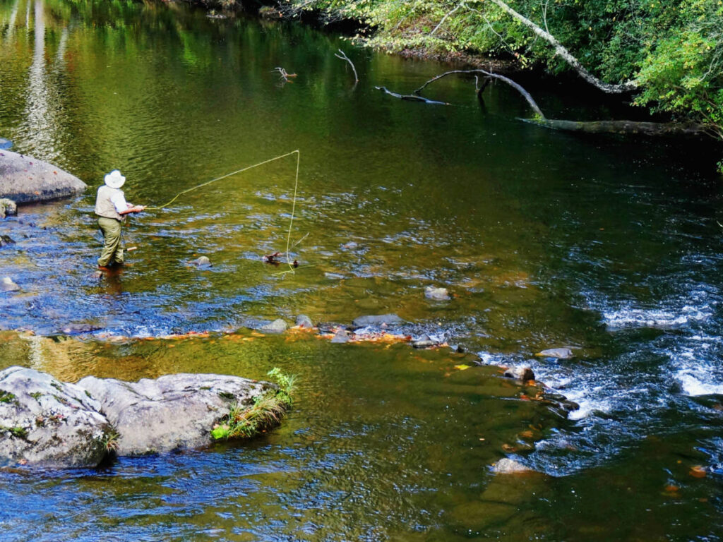 A fly fisherman on a river in Brevard