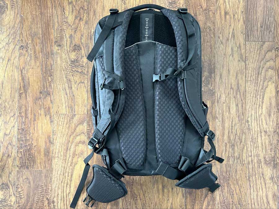 The padded back panel of the Tortuga Travel Backpack