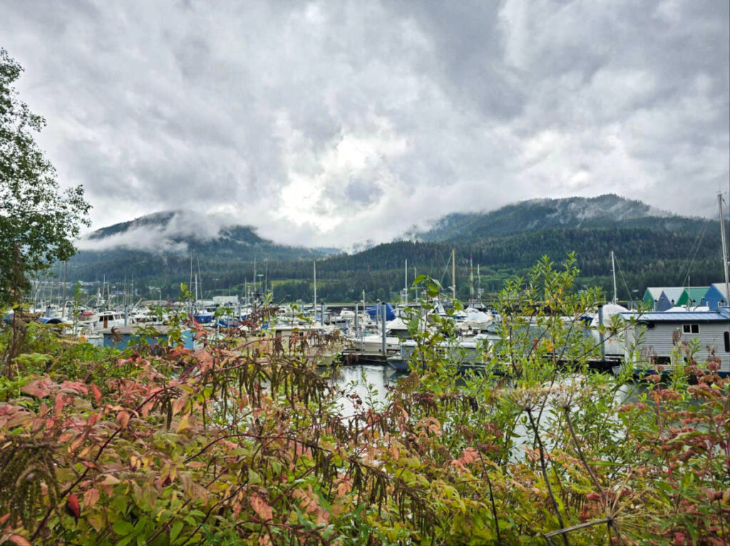 View of the boats at the marina seen behind the greenery