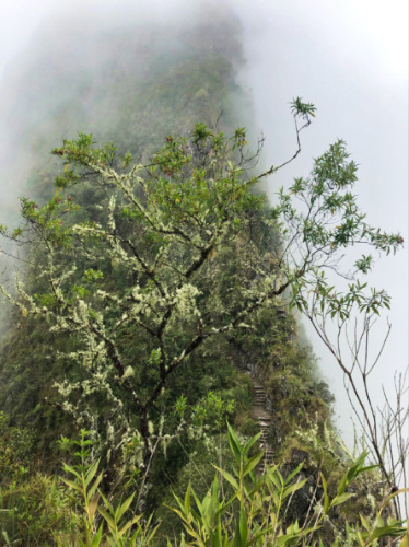 View of the foggy and steep stairs to Machu Picchu seen from the distance