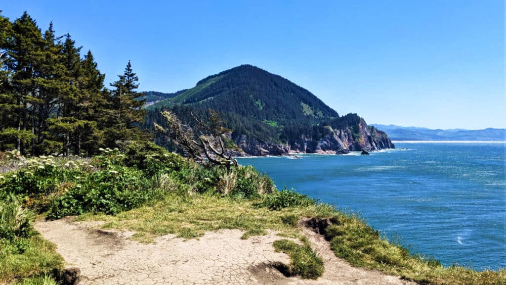 View of the forest and the Pacific Ocean along the Oregon Coast