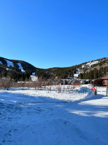View of the forested area from the Nordic center