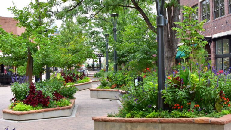 View from an area in Fort Collins