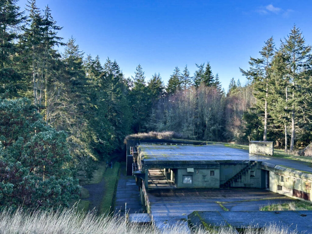 Overlooking view of the bunkers in the middle of the woods