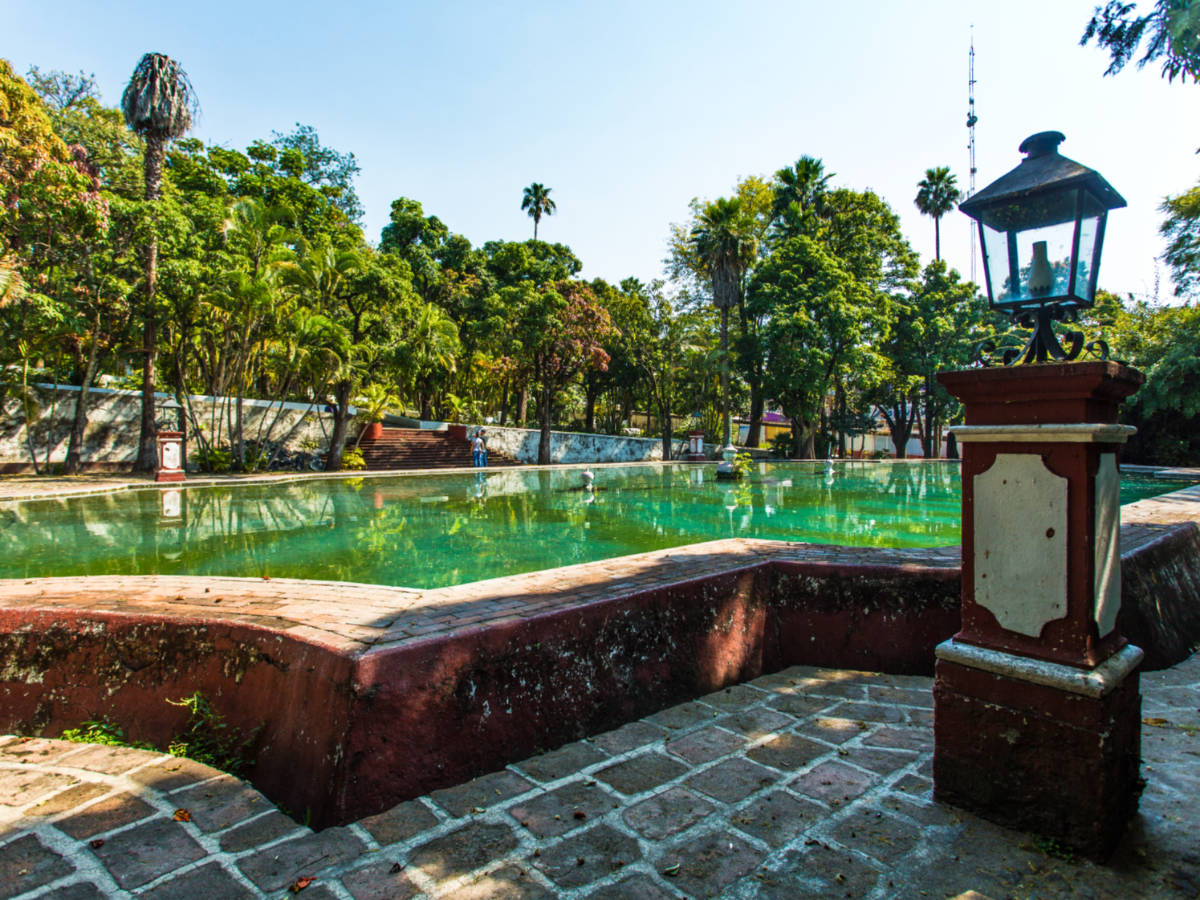 View of the fountain pool in Borda Cultural Center