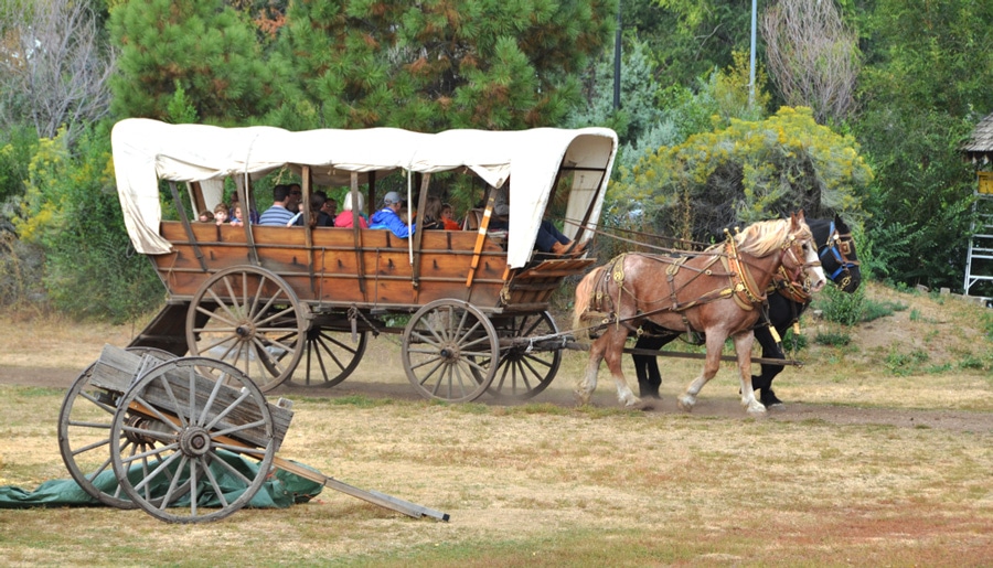 View of a gorse carriage during the annual Fall Festival in Four Mile Historic Park in Denver