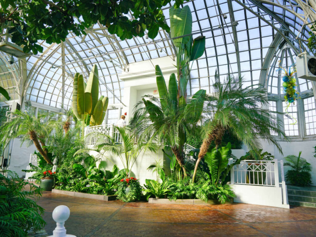 The greenery inside the Franklin Park Conservatory