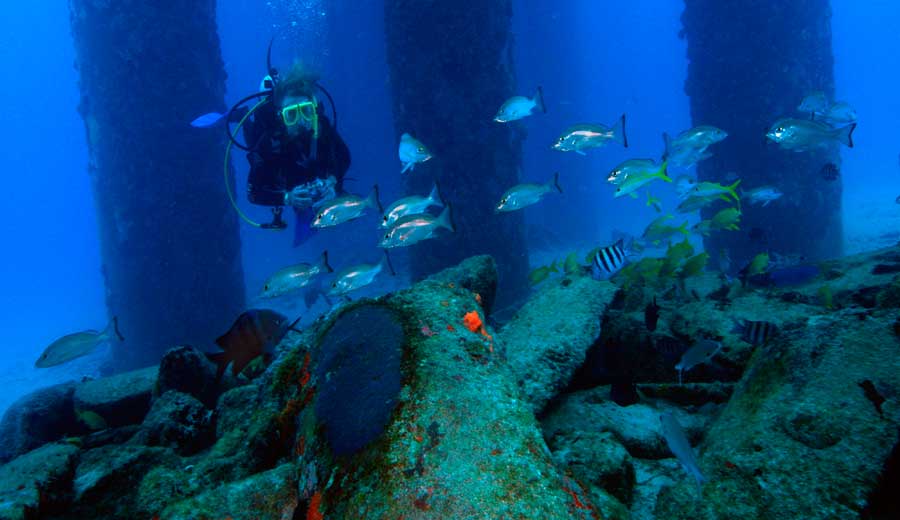 A man snorkeling under the Frederiksted Pier on St. Croix
