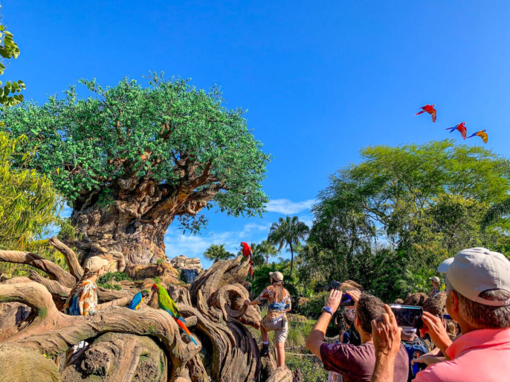 People capturing the Tree of Life at Animal Kingdom on camera, while free-flying macaws encircle it