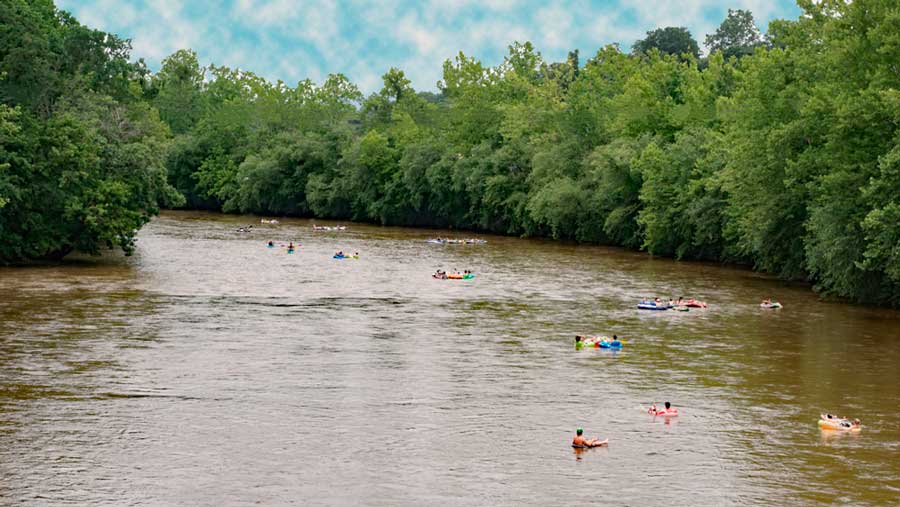 People enjoying kayaking in French Broad River