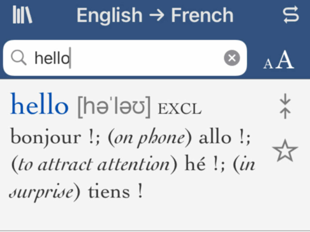 A screen capture of the French translation of “hello” from the app
