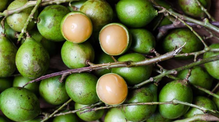 View of peeled quenepas