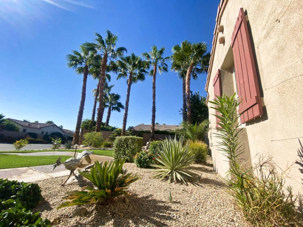 View of the front yard of the accommodation in Palm Springs